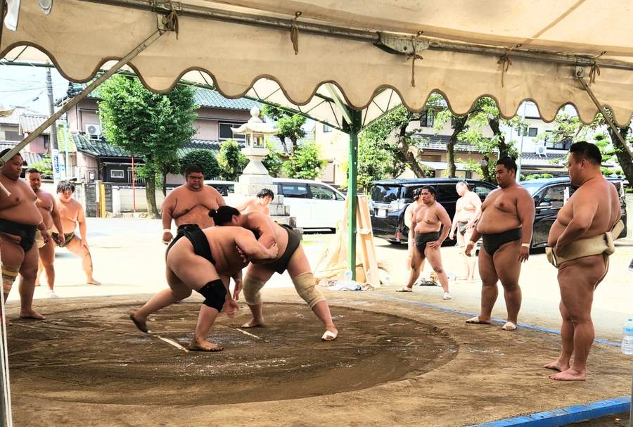 Sumo Training Visit